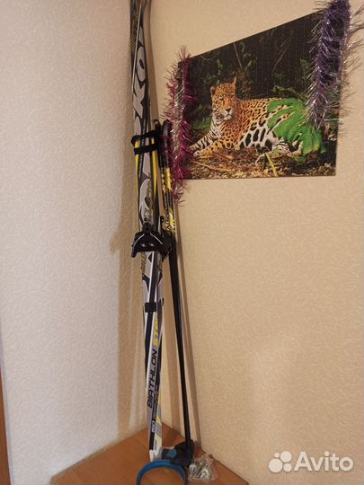 Беговые лыжи