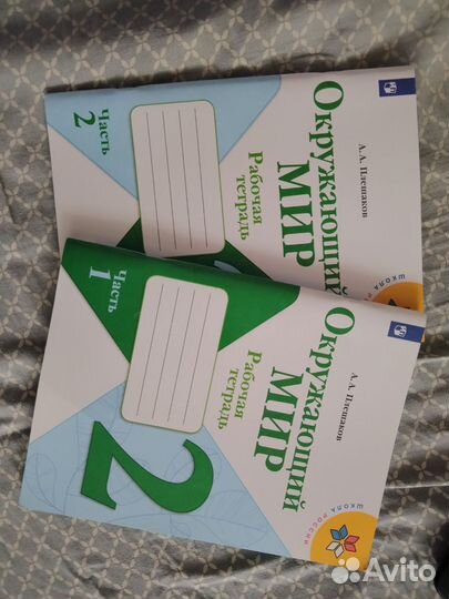 Рабочие тетради Окружающий мир, 2 класс
