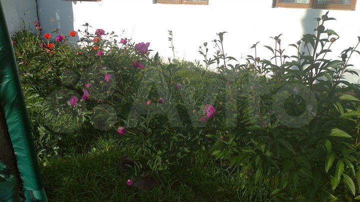 Дом 78 м² на участке 25 сот.