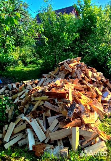 Дрова качественные от 1 куба любых пород древесины