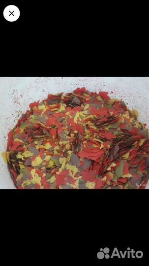 Корм для рыб