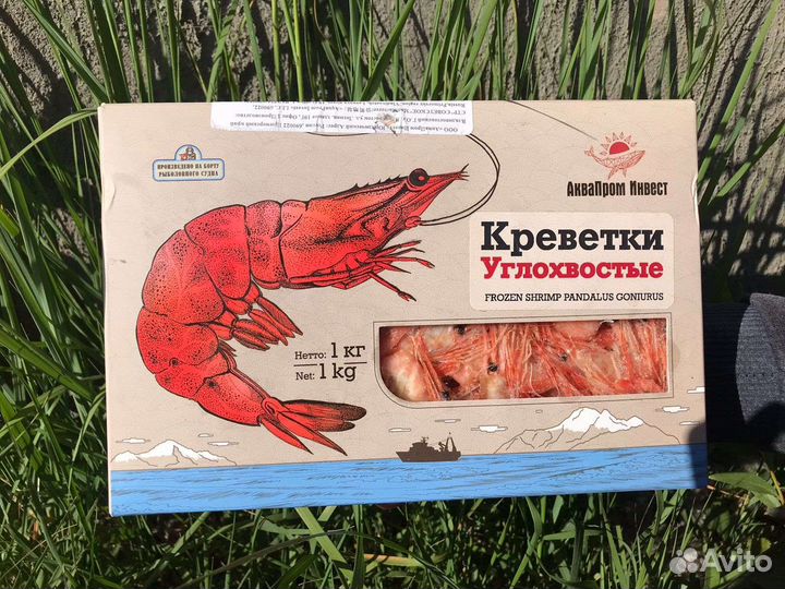 Креветки северные углохвостые