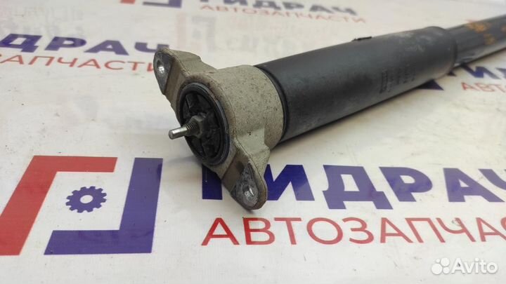 Амортизатор задний Ford Focus 3 1881214