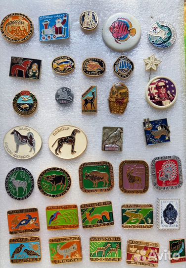 Герои мультфильмов, животные, детские обновил