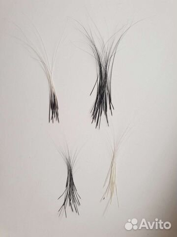 Кошачьи усы