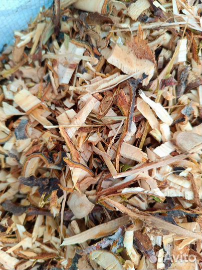 Щепа фруктовых деревьев