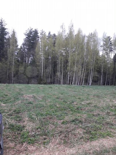 Участок 25 сот. (ИЖС)