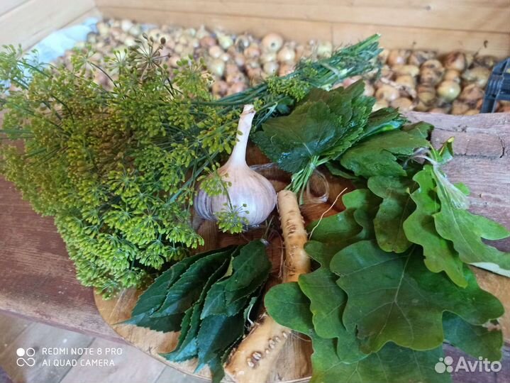 Набор для засолки/соленья