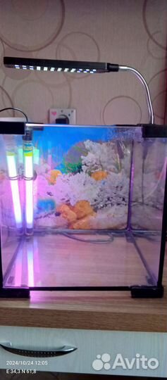 Аквариум