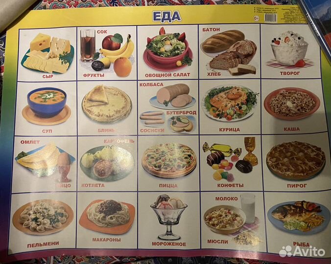 Наглядные пособия:Австралия, насекомые, еда