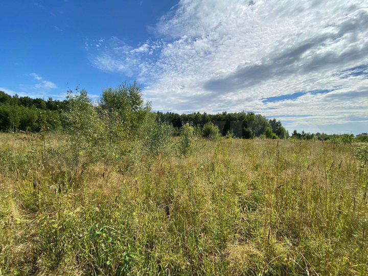 Участок 15 сот. (ИЖС)