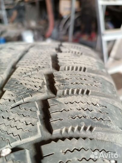 Cordiant Polar 205/55 R16 и 205/55 R16