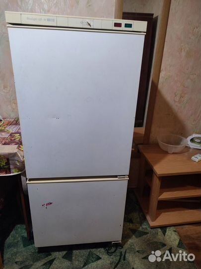 Холодильник рабочий двухкамерный Snaige