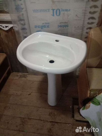 Раковина тюльпан