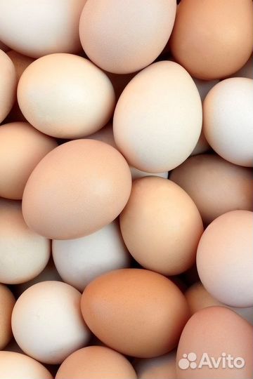 Яйца домашние куриные и перепелиные