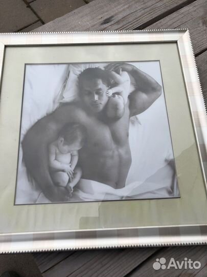 Репродукция