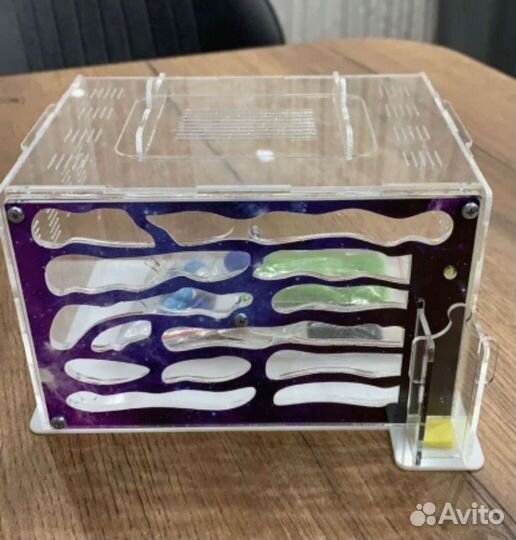 Муравьиная ферма