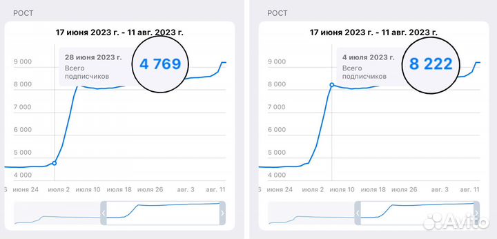 Таргетолог Telegram