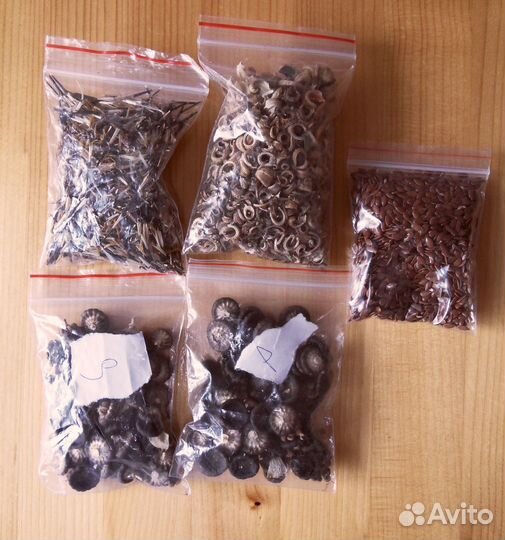 Семена цветов Цена за набор Все в описании