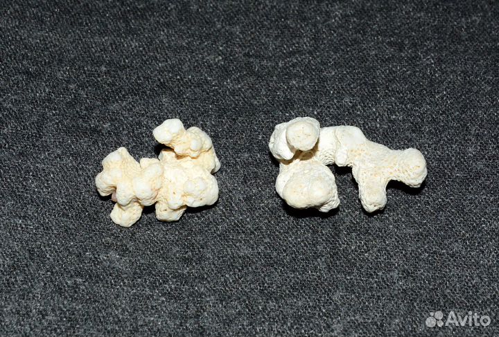 Кораллы для творчества и декора (3 и 4 см)