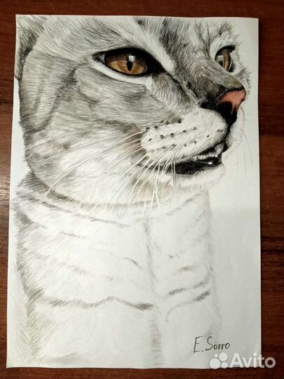 Портреты по фото и картины на заказ