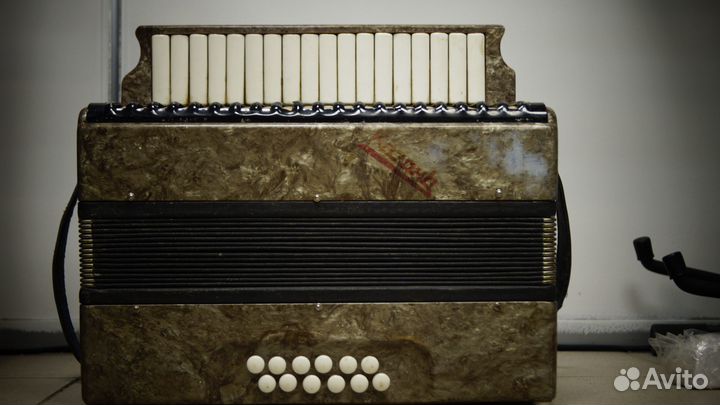 Гармонь Казань
