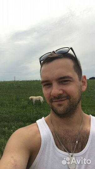 Водитель категории с