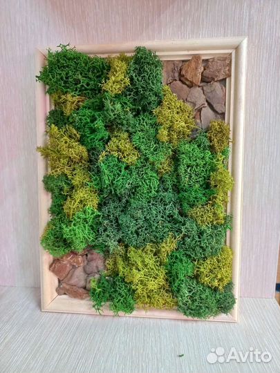 Картина из стабилизированного мха