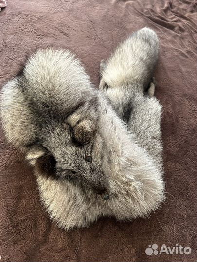 Меховой воротник песец