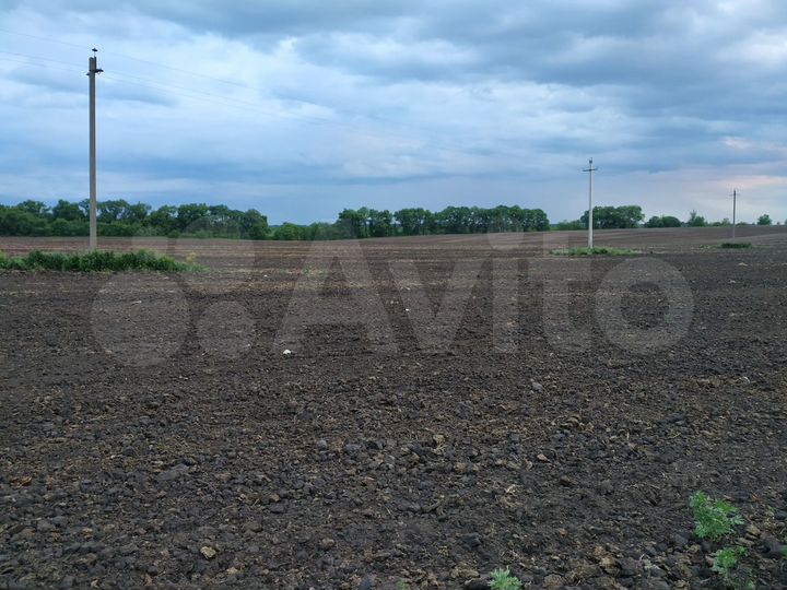 Участок 16 га (ИЖС)