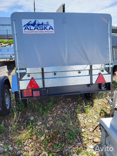 Легковой прицеп новинка Аляска Пионер