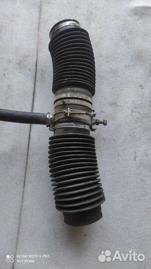 Хлопушка гбо