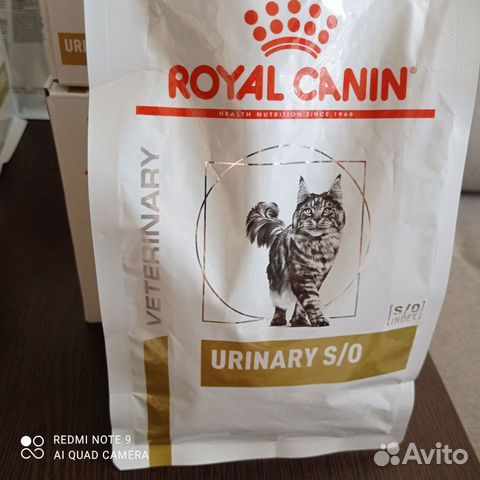 Влажный корм для кошек royal canin объявление продам