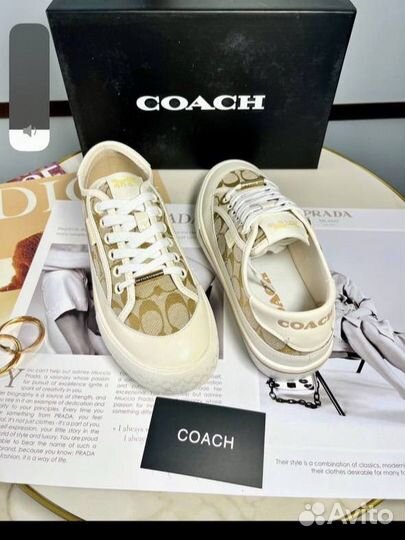 Кеды женские coach