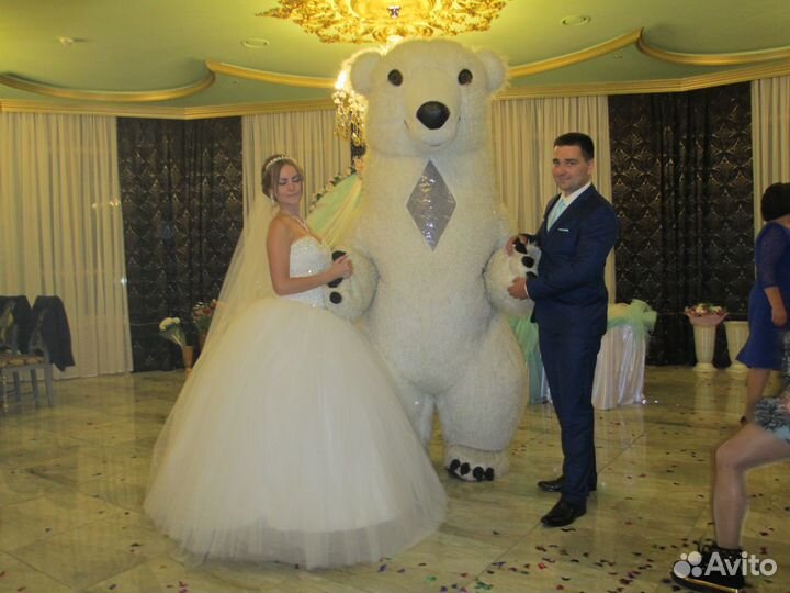 Ведущий Музыкант Диджей Спецэффекты Дым