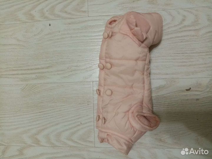 Вещи для животных