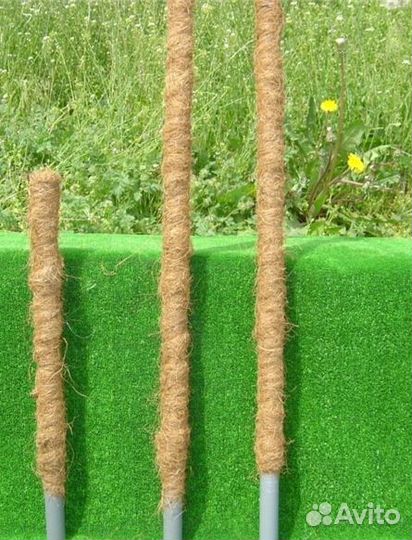 Опора моховая для подвязки растений