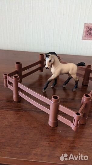 Андалузский жеребенок