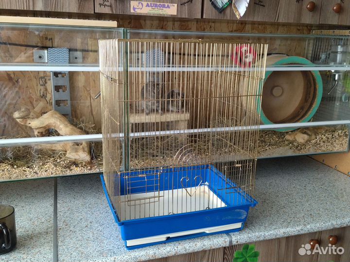 Клетка для попугая