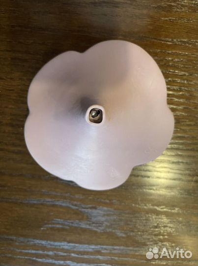 Термометр электронный для воды