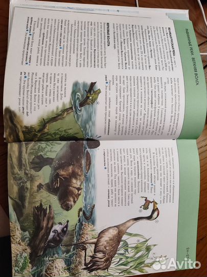 Энциклопедия