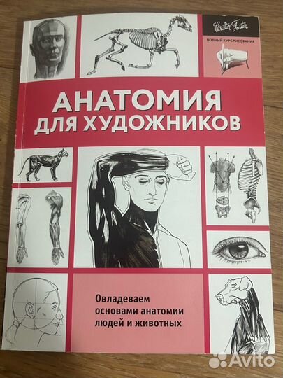 Анатомия для художников