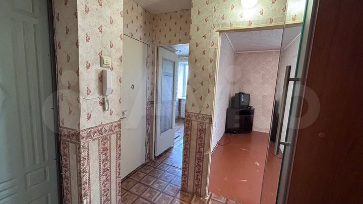 1-к. квартира, 33,8 м², 2/5 эт.