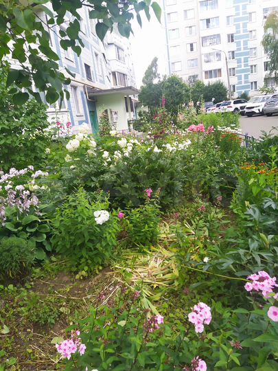 2-к. квартира, 52 м², 8/9 эт.