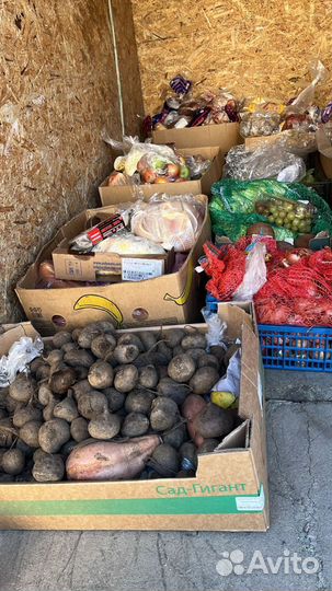 Корма для животных