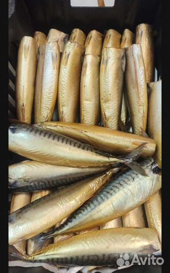 Форель, сёмга, горбуша, скумбрия, сельдь