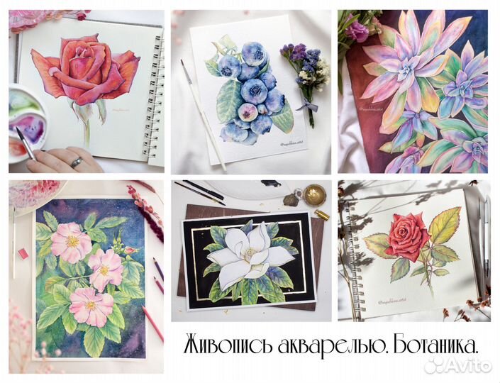 Художник акварелист. Графика