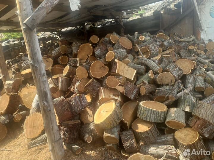 Дрова вяз, финик, тополь, колотые
