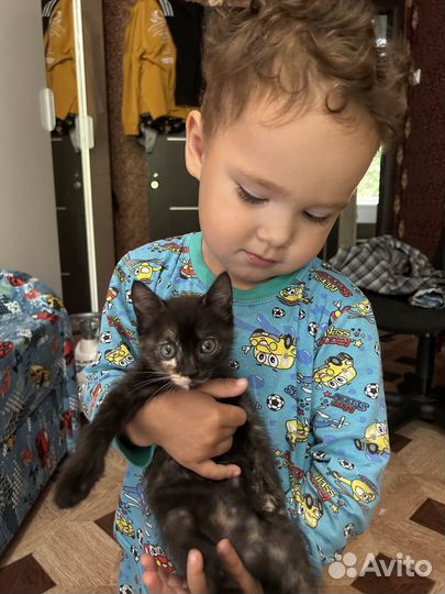 Отдам в добрые руки