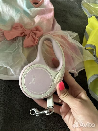 Одежда для маленьких собак